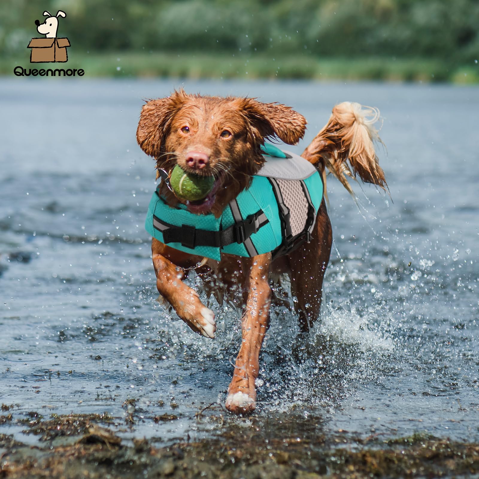 Queenmore Dog Life Jacket Swimming Vest Small Medium Dogs Neoprene Boating Life Preserver Lightweight Reflective Cat Puppy Kayak